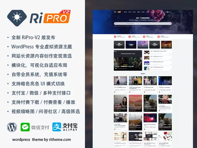 RiProV8.9免授权版-可可源码